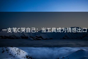 一支笔C哭自己：当工具成为情感出口