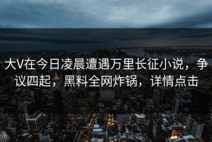 大V在今日凌晨遭遇万里长征小说，争议四起，黑料全网炸锅，详情点击