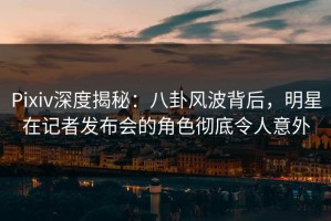 Pixiv深度揭秘：八卦风波背后，明星在记者发布会的角色彻底令人意外