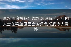 黑料深度揭秘：爆料风波背后，业内人士在粉丝见面会的角色彻底令人意外