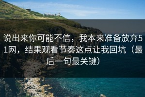 说出来你可能不信，我本来准备放弃51网，结果观看节奏这点让我回坑（最后一句最关键）