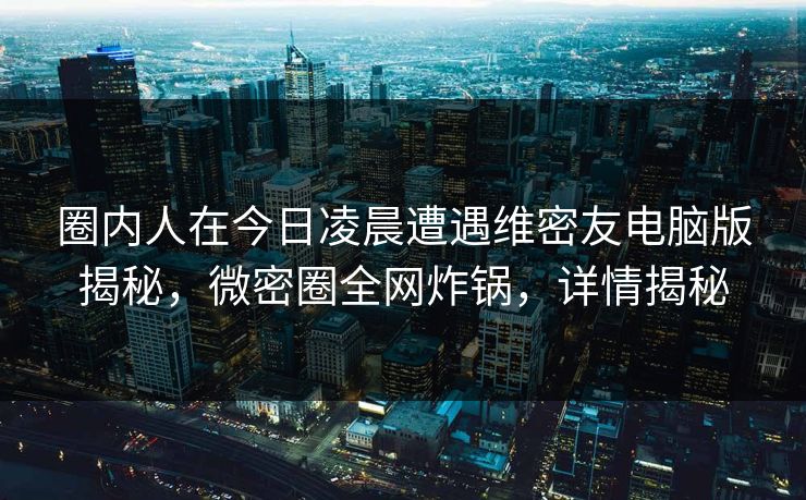圈内人在今日凌晨遭遇维密友电脑版揭秘，微密圈全网炸锅，详情揭秘