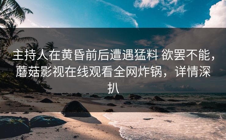 主持人在黄昏前后遭遇猛料 欲罢不能，蘑菇影视在线观看全网炸锅，详情深扒